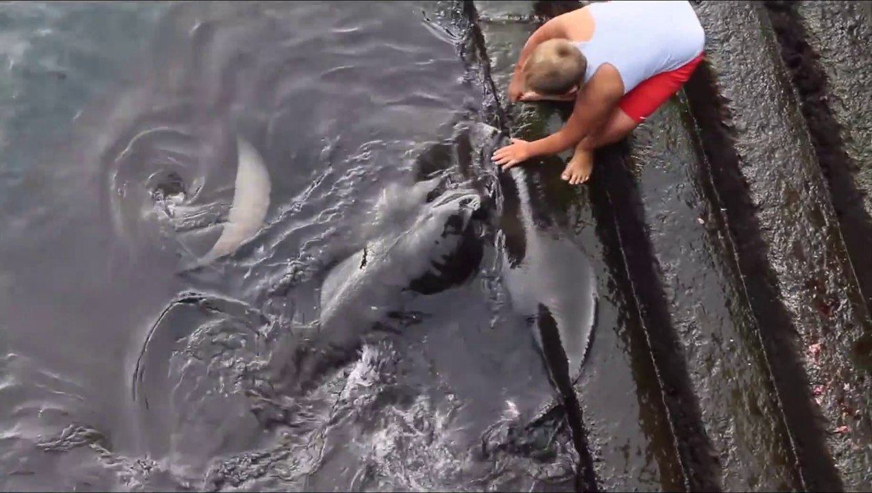 Manta,Manta y Niños 2013 - La Gomera