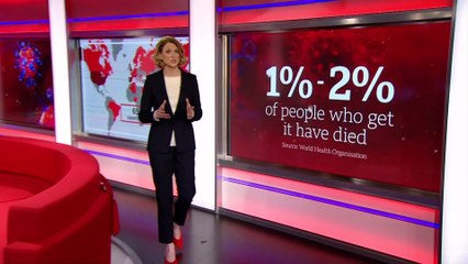 Coronavirus Everything You Need to Know