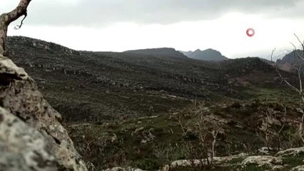 Siirt'te teröristlerin hain tuzağı son anda önlendi