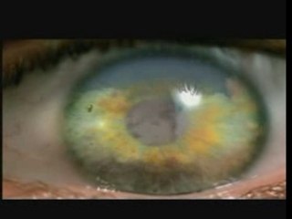 Slayer - Eyes Of The insane