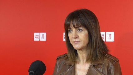 Mendia: "No es el momento de las disputas políticas ni territoriales"
