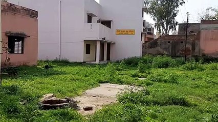 शामलीः रोगी आश्रय ग्रह को आवारा जानवर बना रहे अपना ठिकाना, स्वास्थ्य विभाग मौन