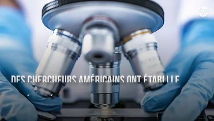 Les neurones suivent des schémas précis durant le développement cérébral