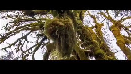 Ye Mumkin To Nahi Sahir Ali Bagga YouTube