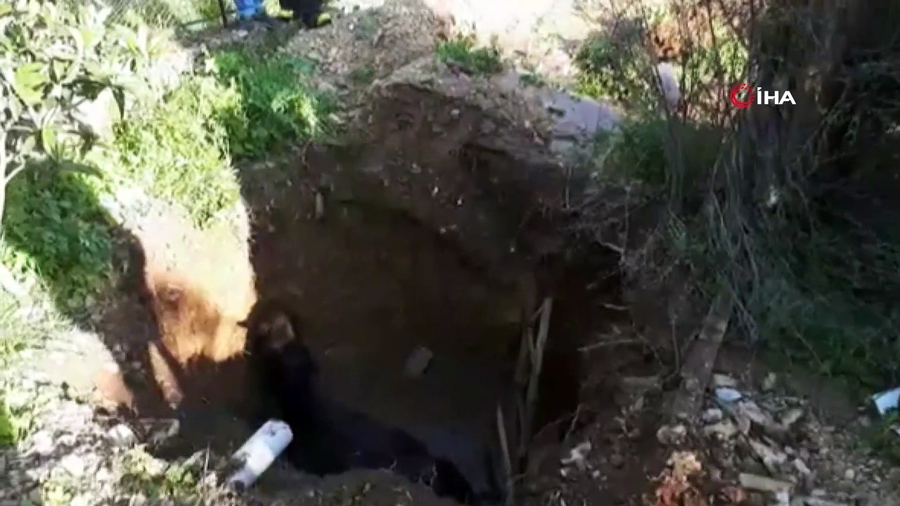 Kuyuya düşen at itfaiye ekipleri tarafından kurtarıldı