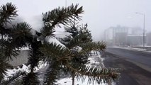Kars'ta sis kara ve hava ulaşımını olumsuz etkiledi