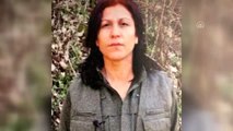 PKK'nın kadın yapılanmasının sözde üst düzey sorumlularından Halide Tarı etkisiz hale getirildi