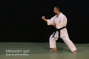 Mawashi geri