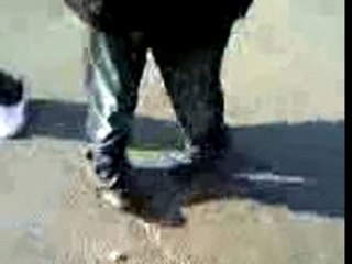 Carlton madinina rep