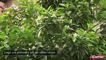 Llega una primavera con las calles vacías
