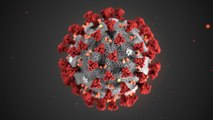 ¿Cómo infecta el coronavirus?
