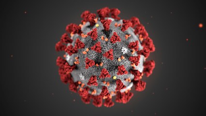 ¿Cómo infecta el coronavirus?