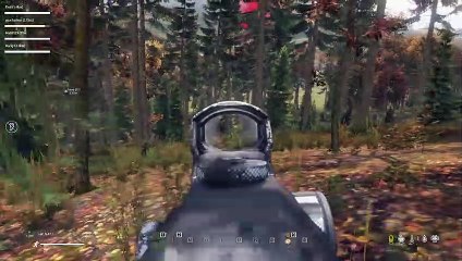 Akcja