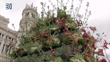El Ayuntamieno de Madrid agradece el civismo de los ciudadanos en la fachada del Palacio de Cibeles