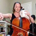 Girl in Self-Quarantine Due to Coronavirus Plays Cello With