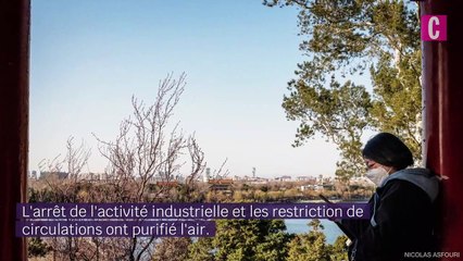 La nature reprend ses droits en Italie pendant le confinement