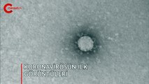 Rus bilim insanları kaydetti! İşte koronavirüsün ilk görüntüleri