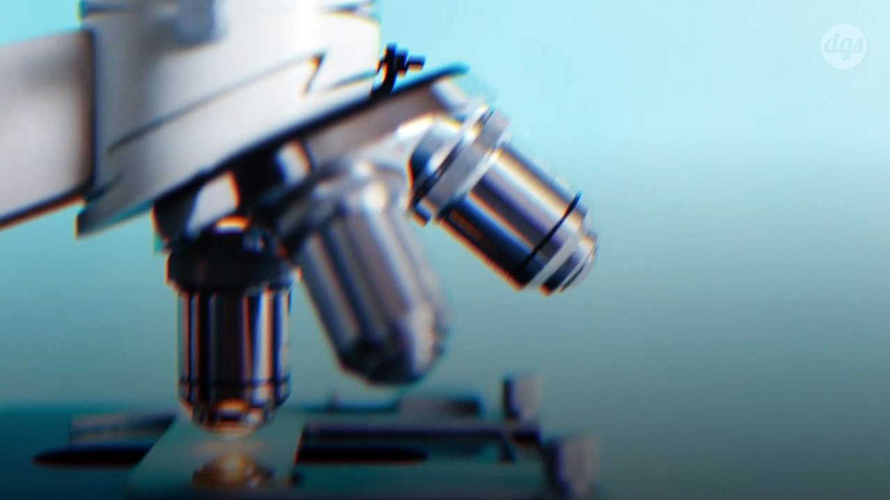 Découverte d’un antibiotique tuant la bactérie responsable de la maladie de Lyme