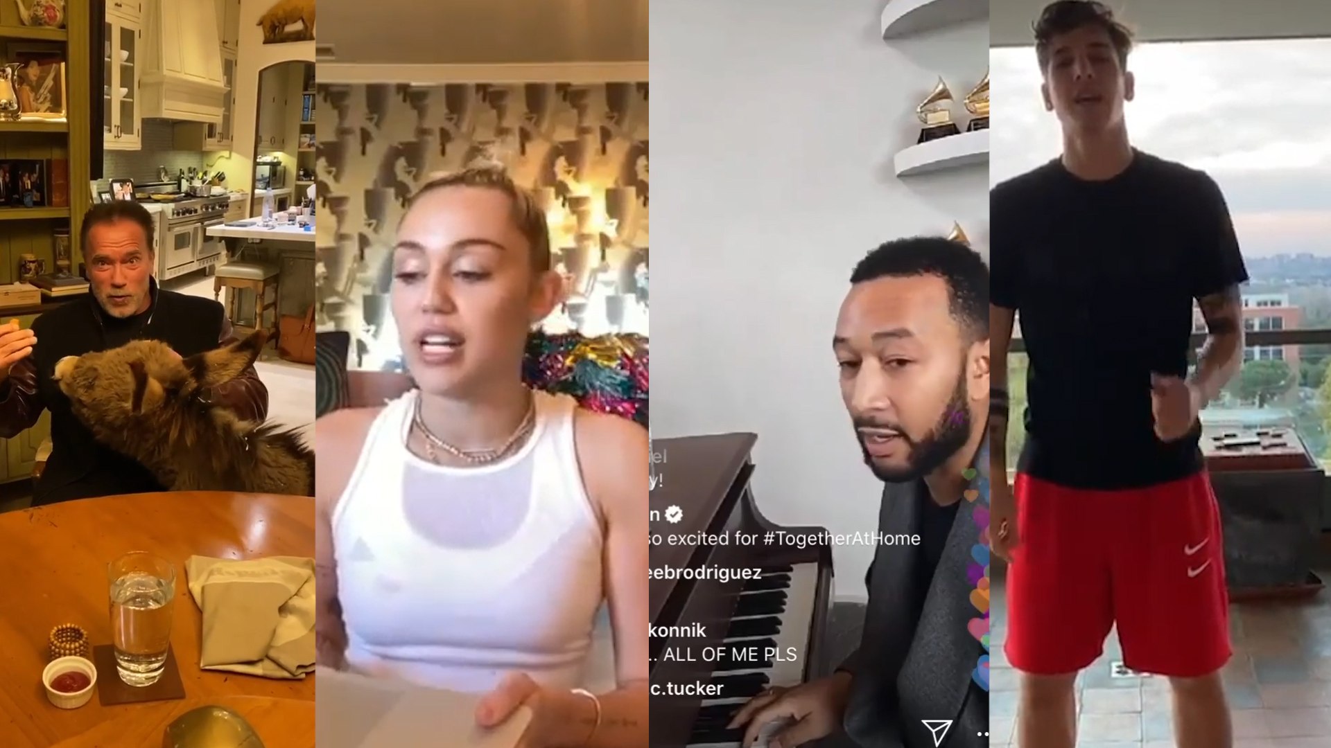 ⁣Celebrities and public figures address people from their homes in times of coronavirus