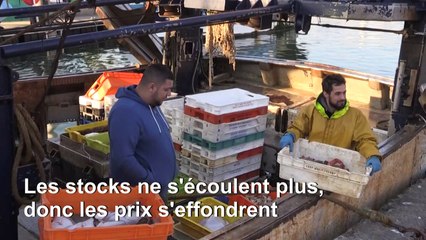 Coronavirus: au Havre comme ailleurs, les prix des poissons s'effondrent