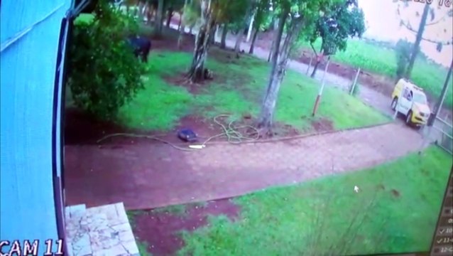 Troca de tiros entre morador e policiais é registrada por câmera de segurança no interior de Realeza; veja o vídeo