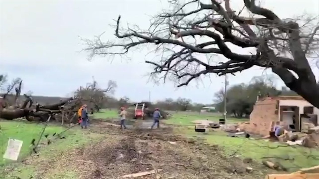 Cleanup underway after tornado uproots trees