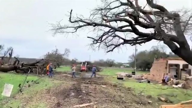 Cleanup underway after tornado uproots trees