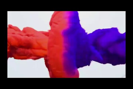 صراع هيفاء وهبى وياسمين صبري على ابو هشيمة