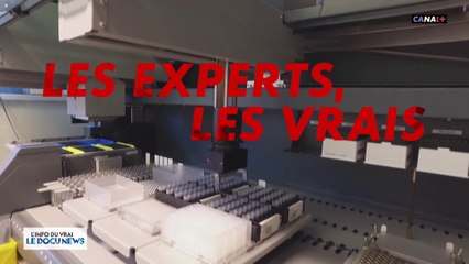 Les experts, les vrais : Le meilleur de L'Info du Vrai en replay