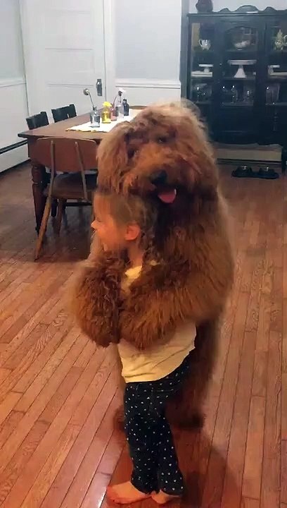 Cette petite danse d'une fille avec son chien va vous réchauffer le coeur