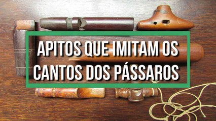 Apitos que imitam os cantos das aves 
