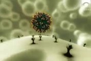 VIRUS ``EL ORIGEN´´  CORONAVIRUS - COVID-19 - VIRUS - PANDEMIAS  - DOCUMENTALES INTERESANTES ,documental, documental historia,documentales,documentales en español, documentales gratis,DOCUMENTALES HD,DOCUMENTALES ONLINE,GRANDES DOCUMENTALES