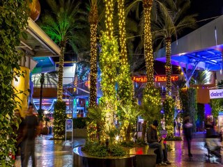 MUSICAL LIGHTS! Texas family syncs holiday display to Selena song - ABC15 Digital