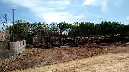 Cubiertos de tierra y en la caja de una camioneta, encuentran a dos hombres asesinados