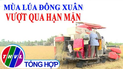 Phóng sự: Mùa lúa Đông Xuân vượt qua hạn mặn