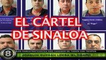 TOP 10 Casos De Narcos Mas Comentados De Todos Los Tiempos