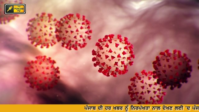 ਕੈਪਟਨ ਦ ਇੱਕ ਹੋਰ ਸਖਤ ਫੈਸਲਾ Captain Amrinder Singh strict on social media