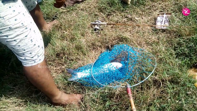 Anglers Fishing at Joymolla Santra Pond | Rozina’s Club