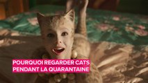 Coronavirus : le film Cats une nouvelle fois la cible de plaisanteries