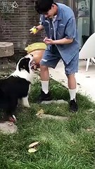 [Vietsub] Uông Trác Thành và Du Du