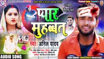 Anil Yadav New Dj Song 2020 __ धोका देलकै प्यार में पिरितिया रे __ Anil Yadav New Maithili Dj Song ( 720 X 720 )