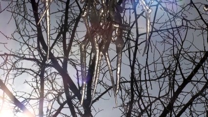 Dondurucu soğukların etkisiyle ağaçların dalları buz tuttu - KARS