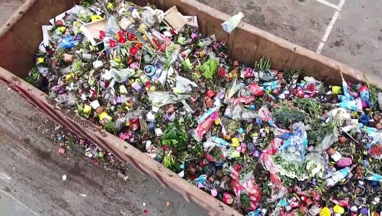 Coronavirus: Blumenproduktion in den Niederlanden landet auf dem Müll