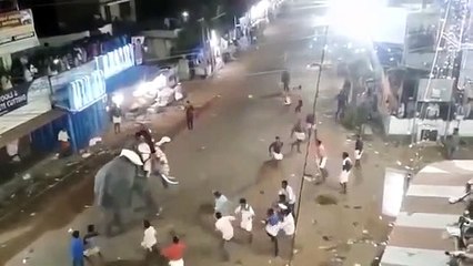 ഇടഞ്ഞ ആന അടുത്ത് നിന്ന കൊമ്പനെ ചെയ്യുന്നത് നോക്ക്