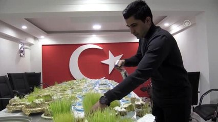 Anadolu'da baharın, bereketin ve birliğin sembolü: "Semeni"