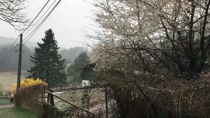 Il neige au Pays de Bitche