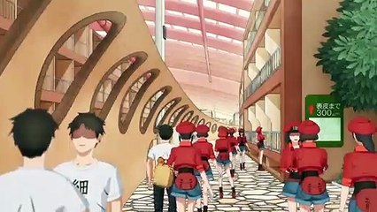 Hataraku Saibö Second Season PV