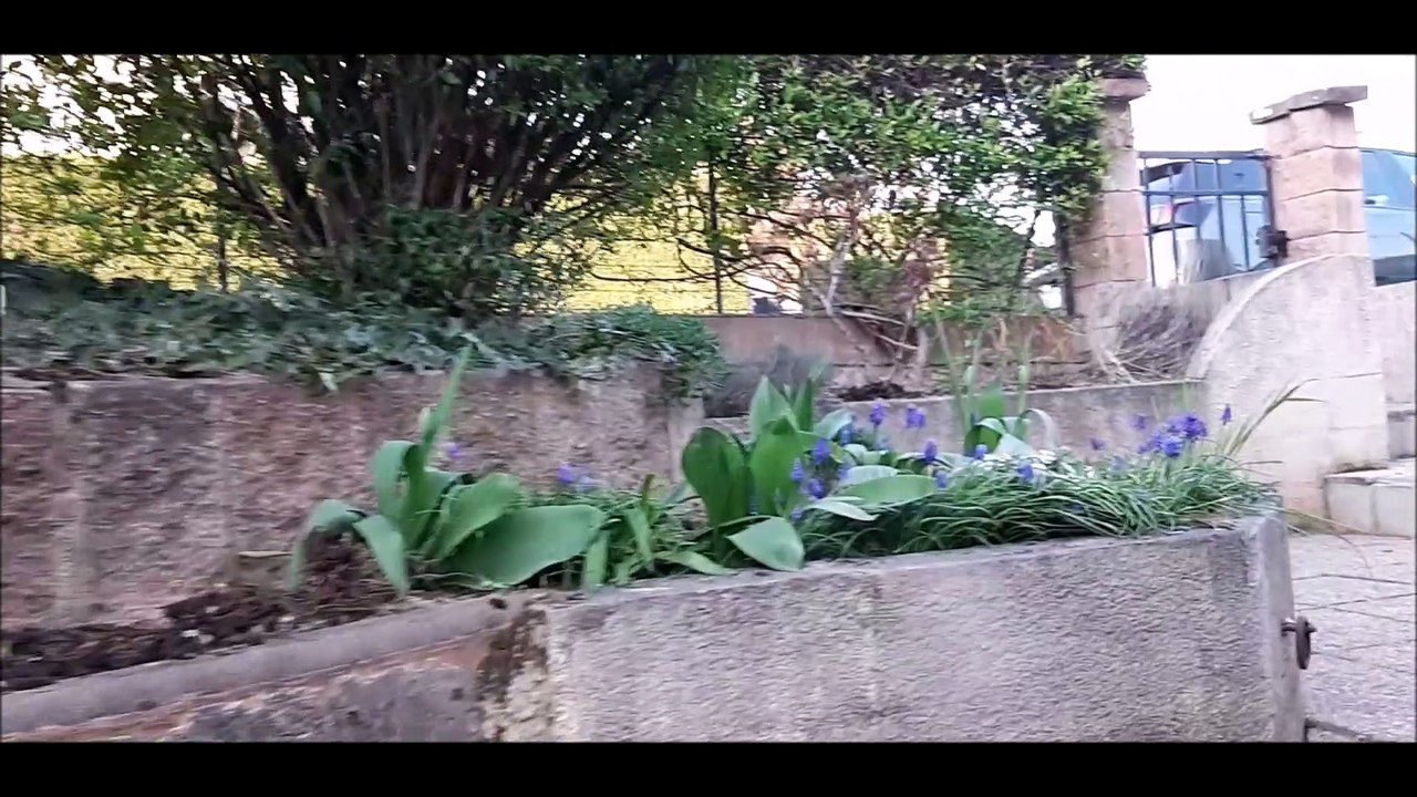 Teaser UTDB