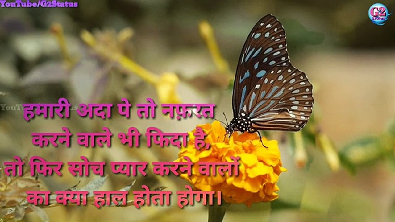 Heart Touching Love Emotional Shayari Hindi Status ||