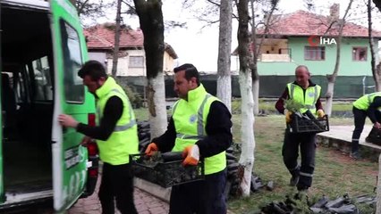 Evlerin kapısına 'evde kalın' notlu fidan bırakıldı